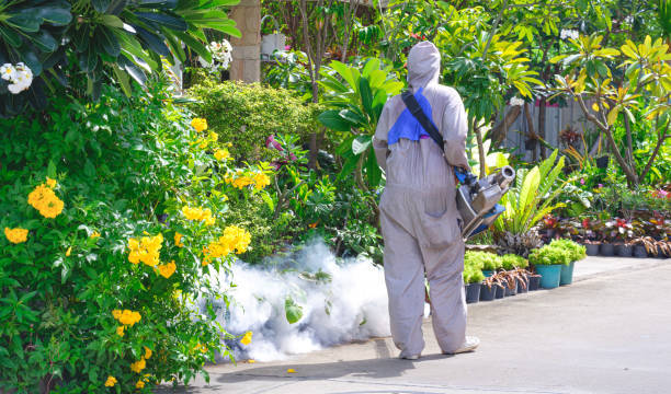 mosquito barrier treatment around house